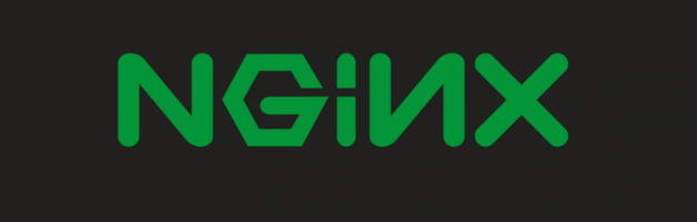 upload file on nginx – part 1: compile dynamic modules